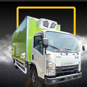 truk box pendingin isuzu nmr 81 